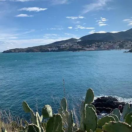 Attique A Banyuls - Vue Mer Et Montagne Buitenkant foto